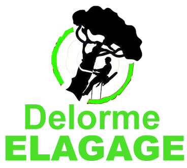 Roger Delorme elagage 49